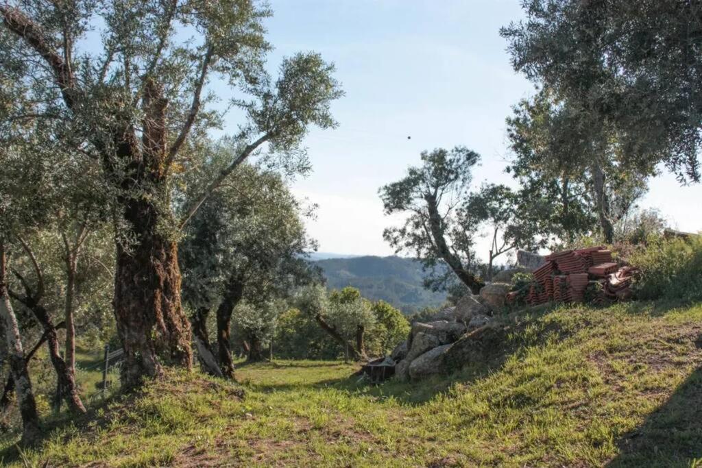 Cantinho Da Pereira Lugar Zewnętrze zdjęcie